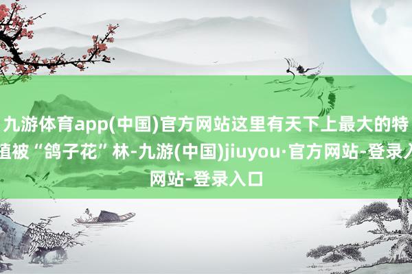 九游体育app(中国)官方网站这里有天下上最大的特殊植被“鸽子花”林-九游(中国)jiuyou·官方网站-登录入口